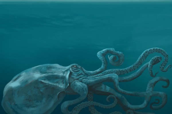 Kraken darknet sliv php