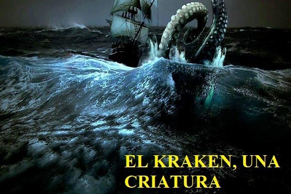Kraken площадка