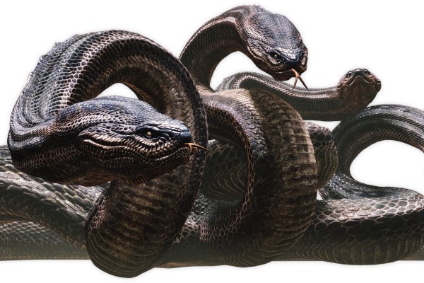 Официальный сайт kraken ссылки зеркала