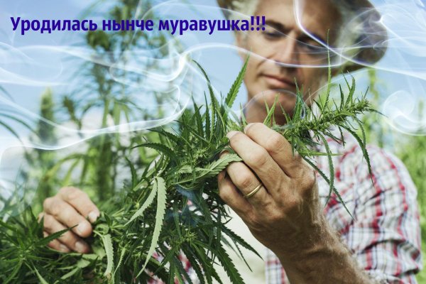 Кракен это современный даркнет маркетплейс