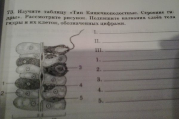 Kra41.at