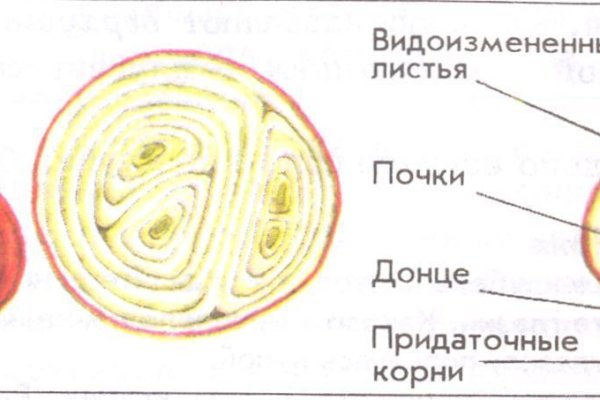 Кракен сайт зеркало рабочее на сегодня