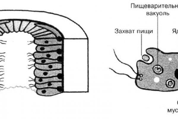 Kra42cc