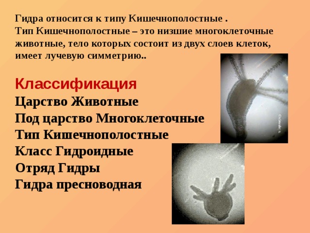 Кракен магазин зеркало